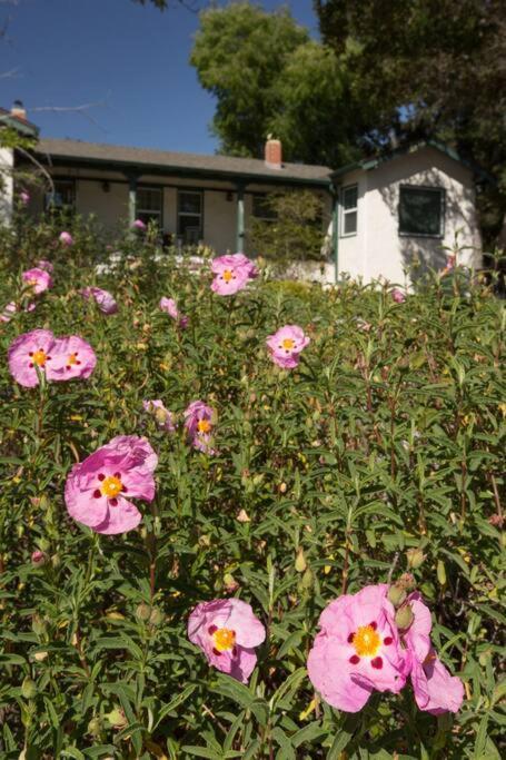 Wine Country Bungalow Atascadero Esterno foto